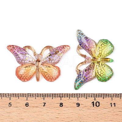 Printed Translucent Acrylic Pendants OACR-T028-17A-1