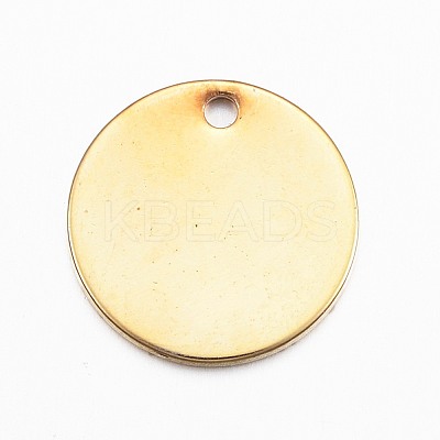 304 Stainless Steel Charms STAS-G137-09G-1