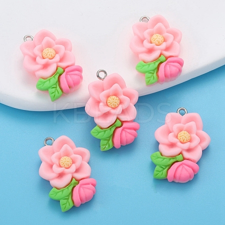 Resin Pendants PW-WG225B2-02-1