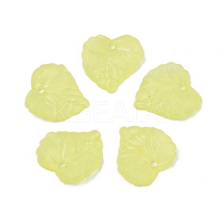 Transparent Acrylic Pendants TACR-S157-01A-1