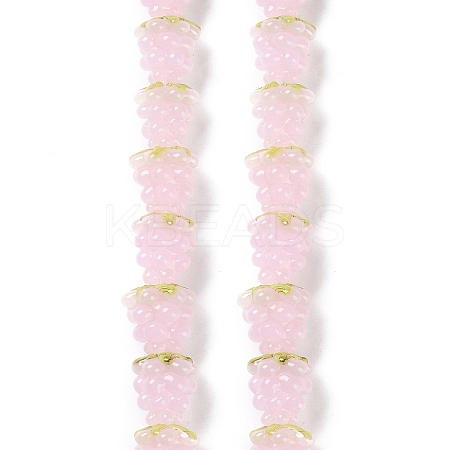 Handmade Lampwork Beads Strands LAMP-Q036-05A-1