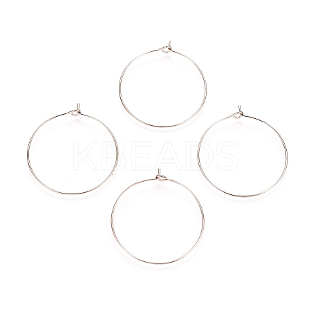 Ion Plating(IP) 316L Surgical Stainless Steel Hoop Earring Findings LS-X-STAS-D164-01RG-1
