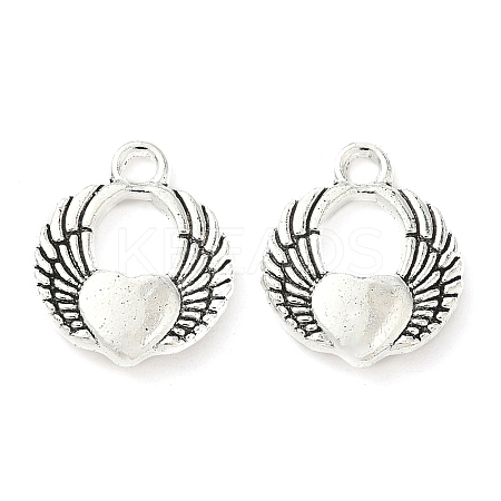 Tibetan Style Alloy Pendants FIND-B050-24AS-01-1