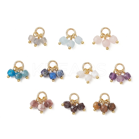 10Pcs 10 Styles Natural Mixed Gemstone Pendants PALLOY-JF04932-02-1