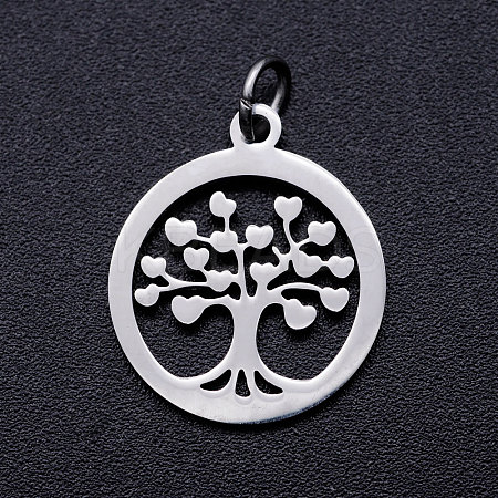 Non-Tarnish 304 Stainless Steel Pendants LS-STAS-T046-JA350-1A-1