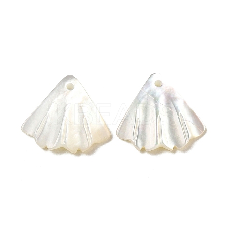Natural White Shell Charms SSHEL-M022-08-1