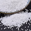 MIYUKI Delica Beads SEED-MY11-DB0200-1