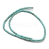 Natural Turquoise Beads Strands G-C084-D10-02-3