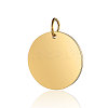Ion Plating(IP) 304 Stainless Steel Pendants X-STAS-I311-32H-G-1