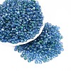 Baking Paint Glass Beads DGLA-T005-01A-03-3