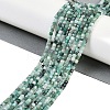 Natural Emerald Beads Strands G-P553-E04-02-6