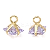 Brass Pave Cubic Zirconia Charms CU-CBABEB3-05G-04-1