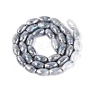 Anti-Tarnish Electroplate Glass Beads Strands EGLA-Q130-02A-01-2