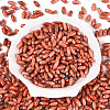 Baking Paint Glass Seed Beads SEED-N008-06D-2