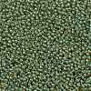 TOHO Round Seed Beads SEED-JPTR11-0380-2