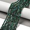 Natural Chrysocolla Beads Strands G-K373-B07-03-1