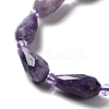 Natural Lepidolite/Purple Mica Stone Beads Strands G-B028-A06-4