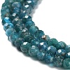Natural Apatite Beads Strands G-J400-E03-01-4