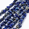 Natural Lapis Lazuli Beads Strands G-P332-12-1