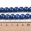 Baking Paint Glass Beads Strands DGLA-N013-10mm-10-4