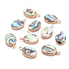 Electroplated Natural Abalone Shell/Paua Pendants SSHEL-T014-22-1