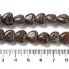 Natural Glaucophane Beads Strands G-R190-10mm-36-5