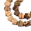Natural Picture Jasper Beads Strands G-N257-24A-08-4