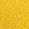 Opaque Colours Luster Glass Seed Beads SEED-H003-12H-2