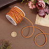 19M Braided Imitation Leather Cords LC-CL0001-02C-3