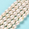 Natural Cultured Freshwater Pearl Beads Strands PEAR-E016-064-2