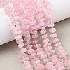 Natural Rose Quartz Beads Strands X-G-F821-B02-01-1
