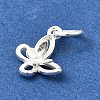 925 Sterling Silver Charms STER-F059-01S-2