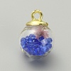 Transparent Glass Globe Pendants LS-GLAA-TAC0005-002E-1
