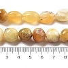 Natural Yellow Opal Beads Strands G-C179-F03-01-5
