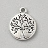 Tibetan Style Alloy Pendants FIND-WH0818-10AS-04-1