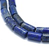 Natural Lapis Lazuli Beads Strands G-F631-F06-3