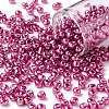 6/0 Glass Seed Beads X-SEED-A017-4mm-1111-1