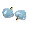 Dyed White Jade Jade Pendants G-G956-B79-G-2