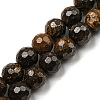 Natural Bronzite Beads Strands G-E571-42A-1