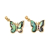 Brass & Paua Shell & Clear Cubic Zirconia Pendants KK-G538-02G-1