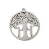 304 Stainless Steel Pendants STAS-V016-06P-1
