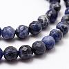 Natural Sodalite Beads Strands G-D840-19-10mm-3