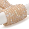 Transparent Glass Beads Strands EGLA-A034-T4mm-MB20-1