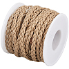 10M Flat Braided Imitation Leather Cords LC-CL0001-04C-6