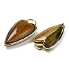 Natural Tiger Eye Pendants G-K347-01G-08-2