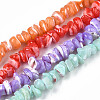 Natural Freshwater Shell Beads Strands SHEL-N003-23-1