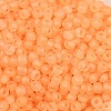 6/0 Luminous Glass Seed Beads X1-SEED-NH0001-01E-3