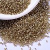 MIYUKI Delica Beads SEED-J020-DB2155-1