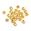 Tibetan Style Alloy Caps LS-K095D012-1