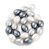 Electroplated Shell Pearl Beads Strands BSHE-H110-01-04-3